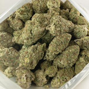 Jack Herer
