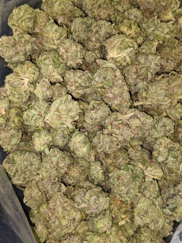 Sour OG