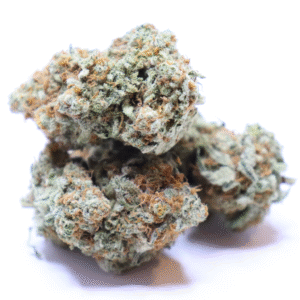 Black Gorilla