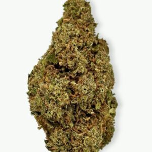 Mango Haze