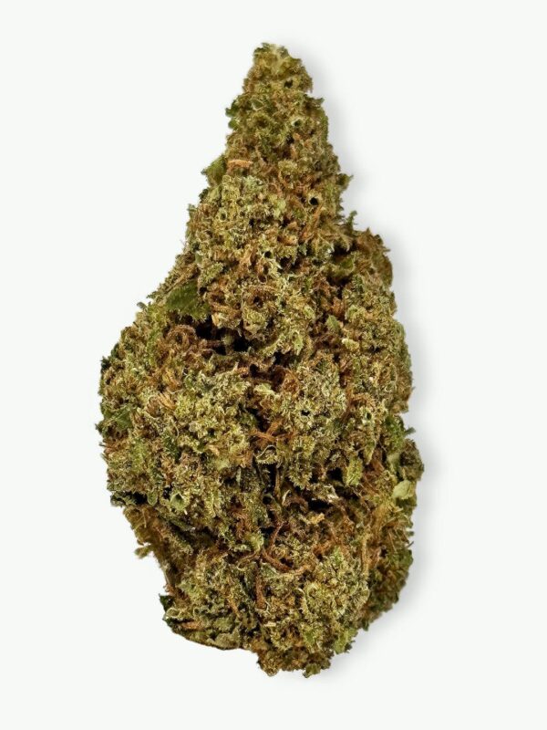 Mango Haze