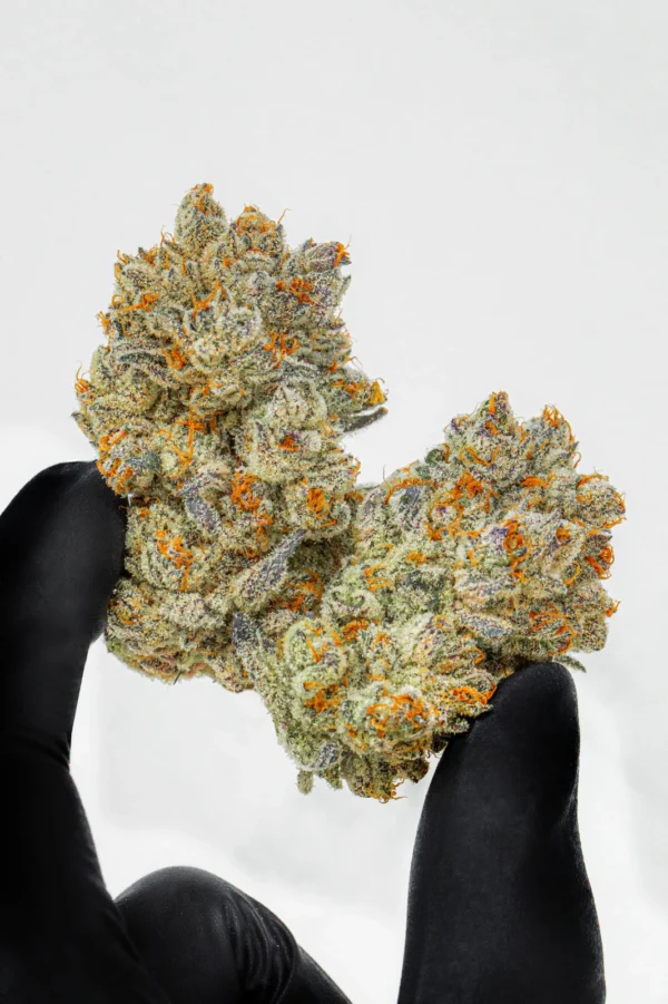 Girl Scout Cookies (GSC) - Image 2