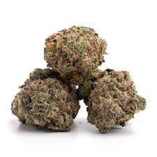 Purple Haze