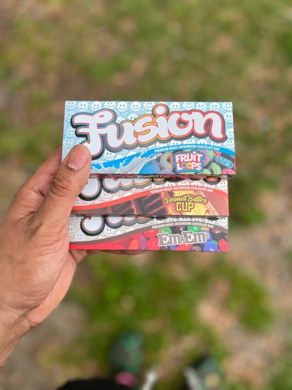 Fusion Shroom Chocolate Bars - Image 3