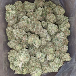 Gorilla Glue