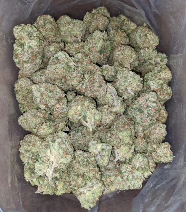 Gorilla Glue