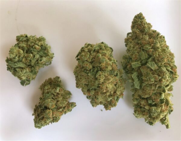 Bruce Banner - Image 2