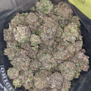 Purple Mamba