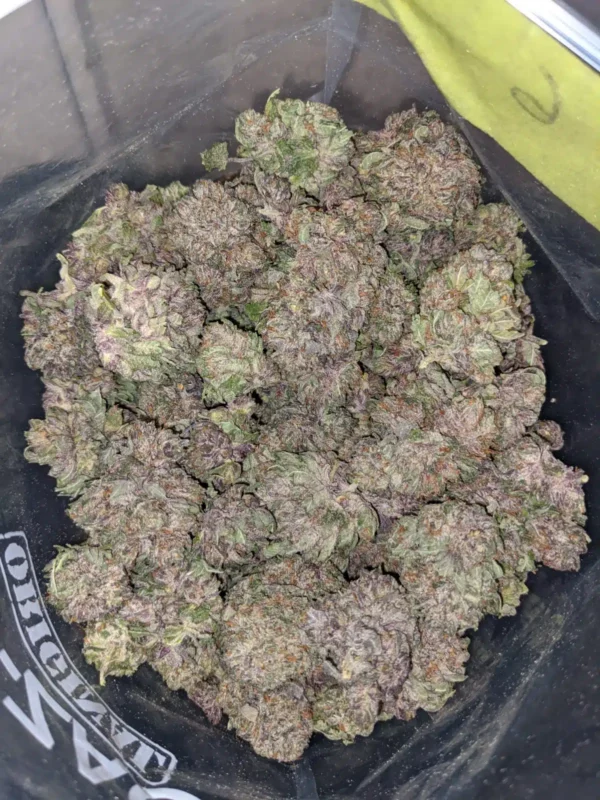 Purple Mamba