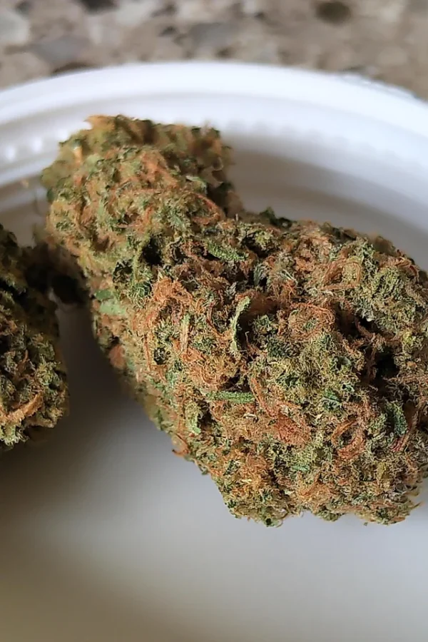 Super Lemon Haze - Image 2