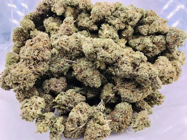 Gelato - Image 2