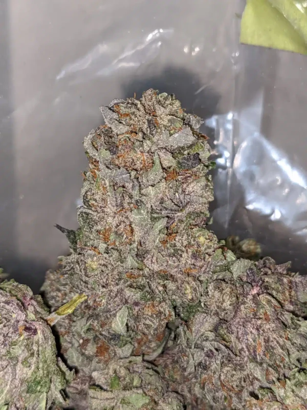 Purple Mamba - Image 2