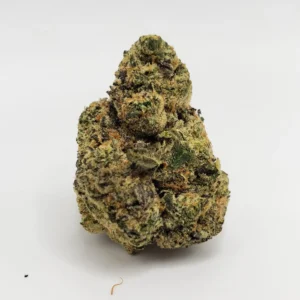 Gelato