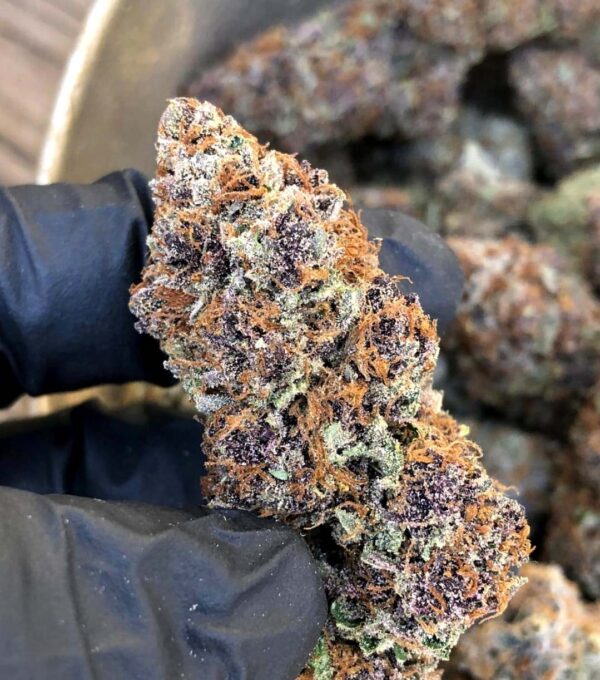 Forbidden Fruit