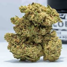 Duban Poison