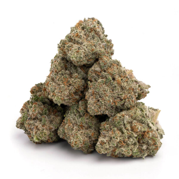 Jack Herer - Image 2