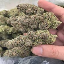 BLUE DREAM