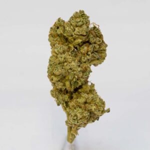 Blue Sherbert