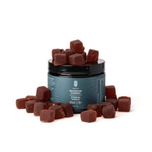 buy-hemplucid-stress-mushroom-gummies