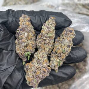 best-and-affordable-tropicana-cookies-uk