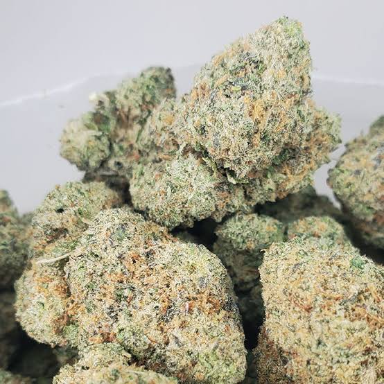 Blueberry Haze