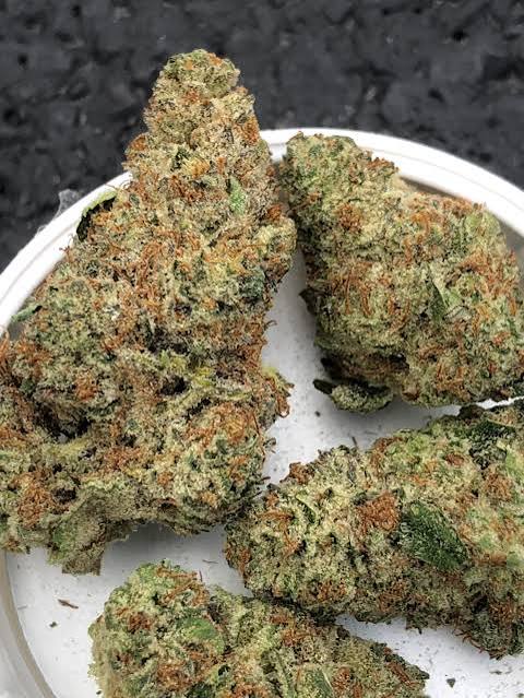 Blueberry Haze - Image 3