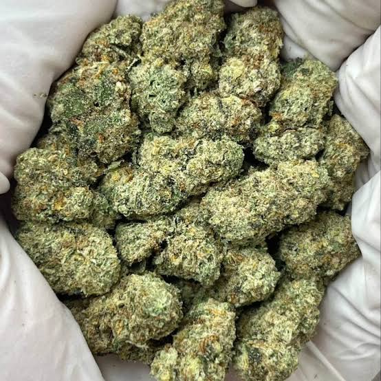 GMO Cookies Strain - Image 3