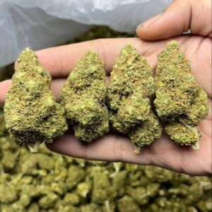 Stardawg